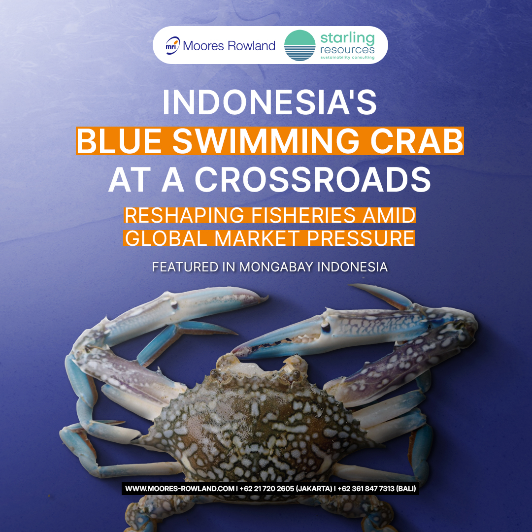 Indonesia's Blue Swimming Crab at a Crossroads: Reshaping Fisheries Amid Global Market Pressure